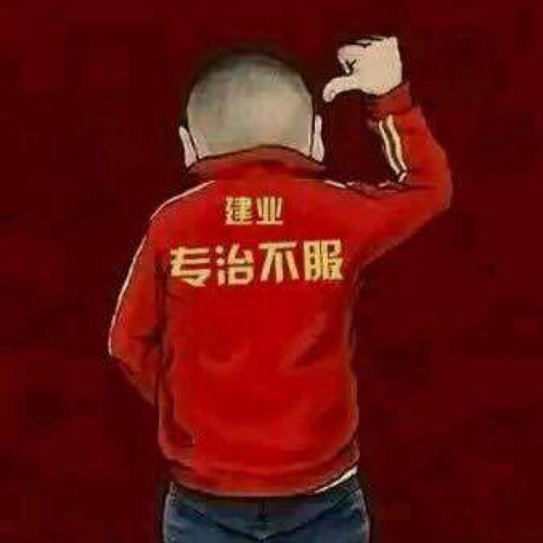 北环老王