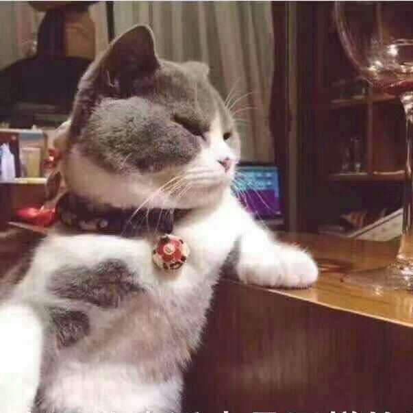 一只老吴