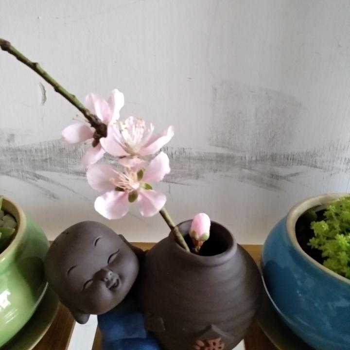 逾期不候*