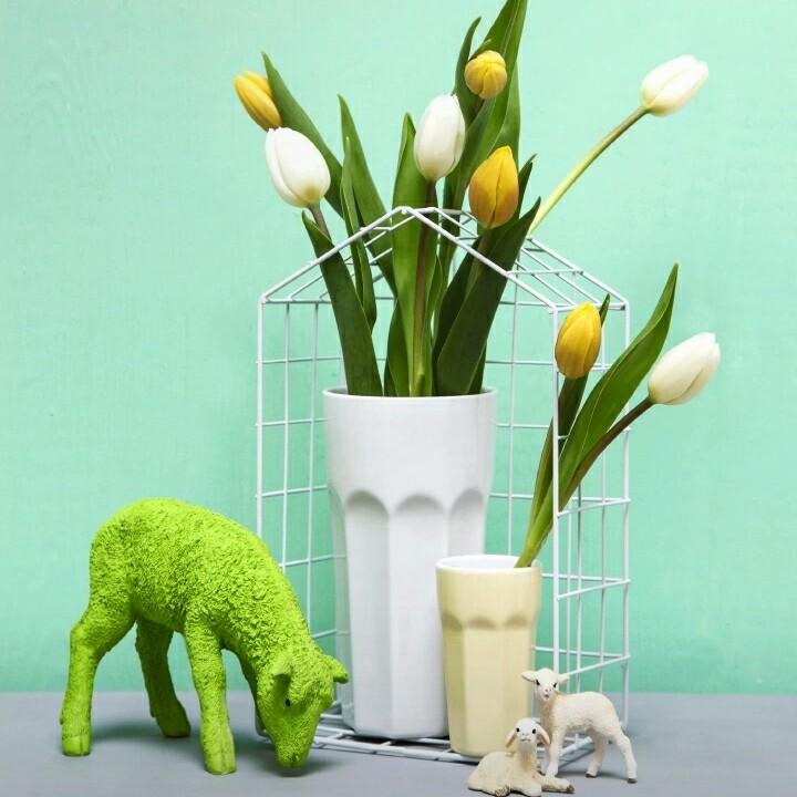 青苹果