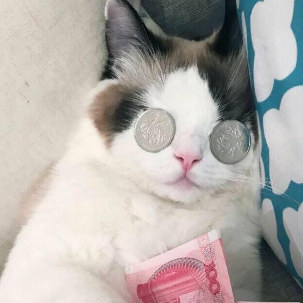 图图图谋不鬼