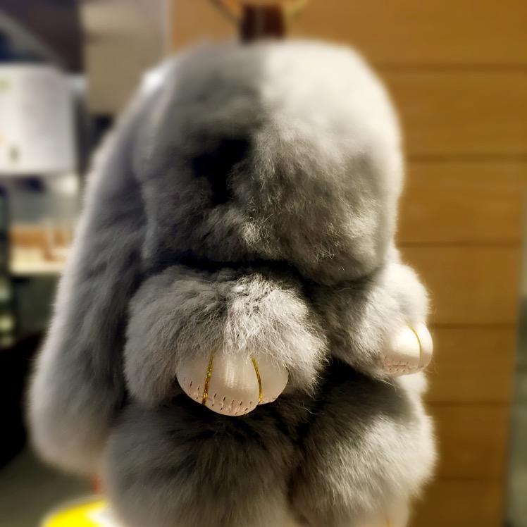 发呆兔