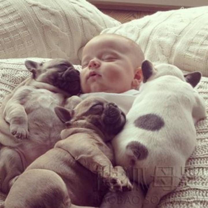 佛得角的拉布拉卡