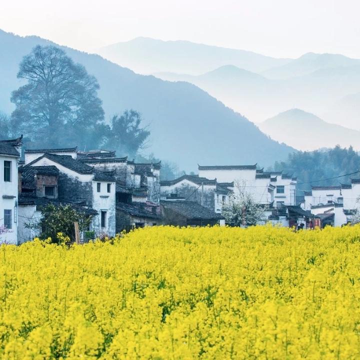 邯磊