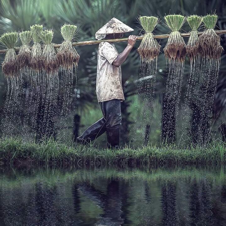潇洒、