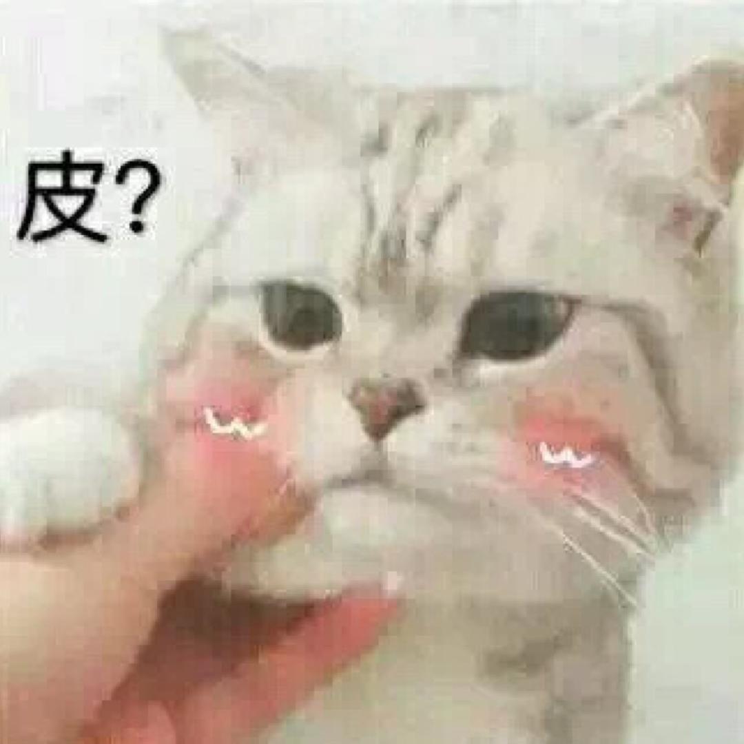 麦乐迪
