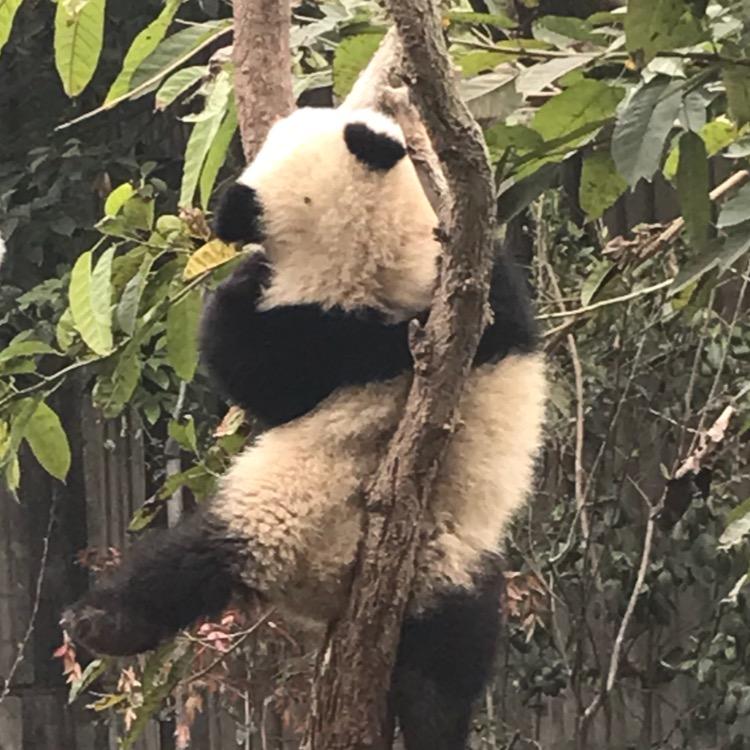 闭眼天就黑