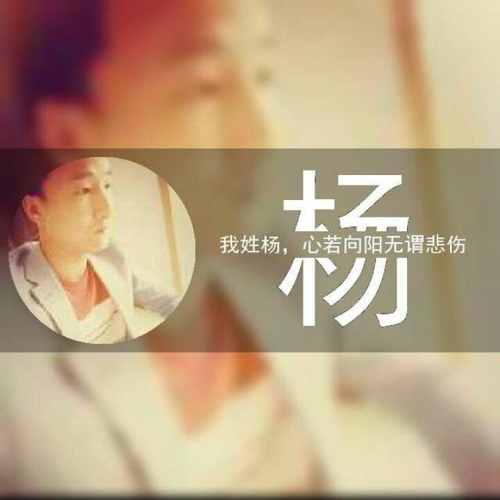杨