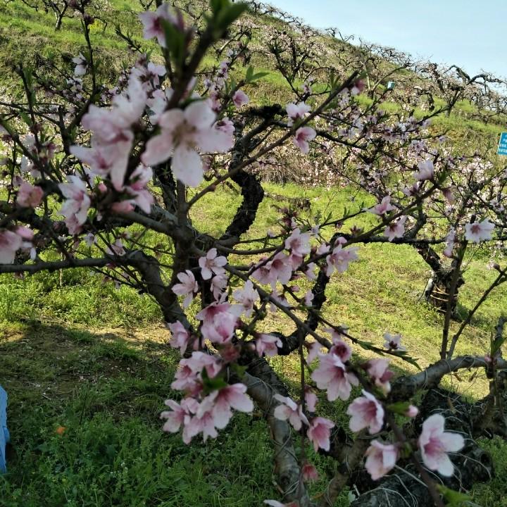 缘来的天空