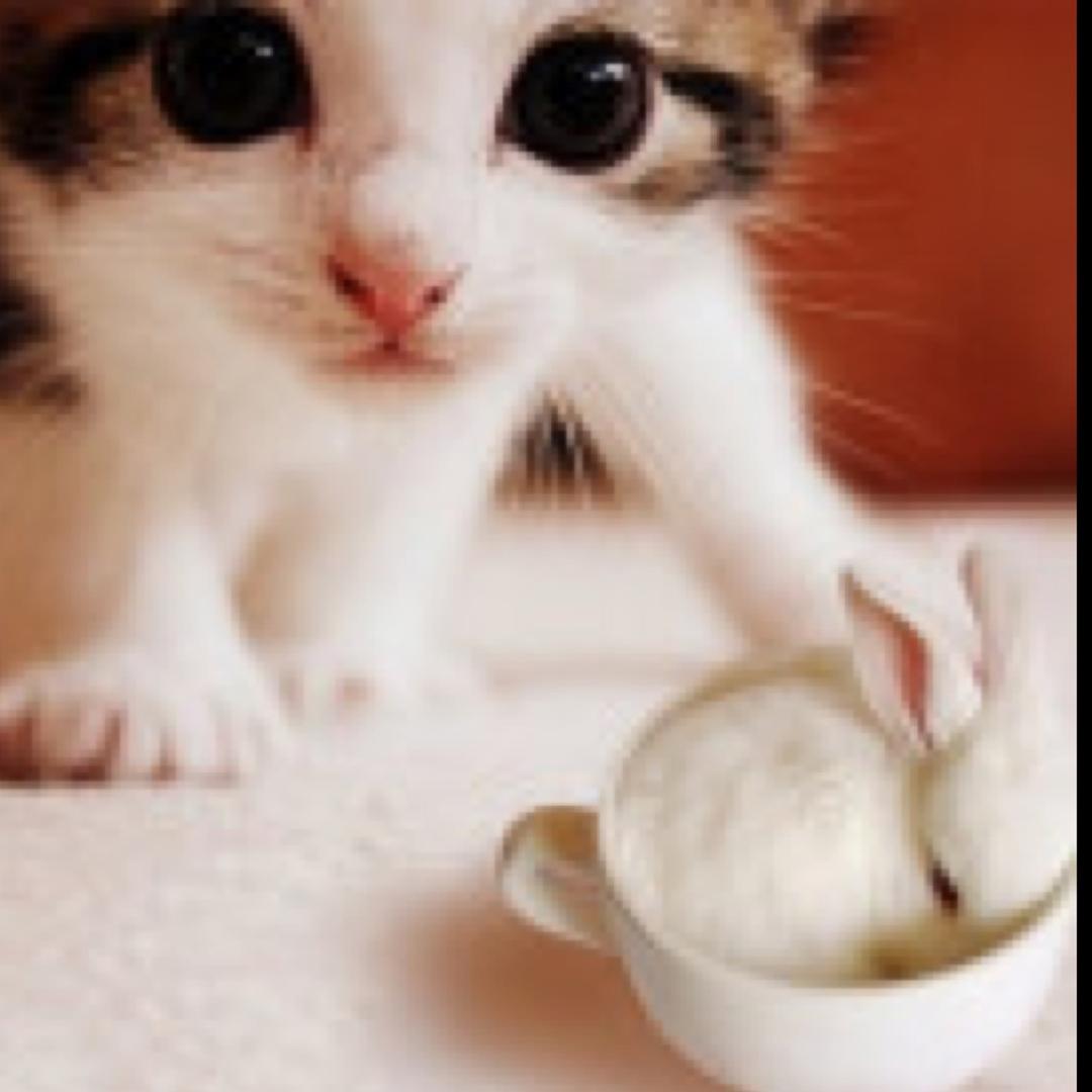 Kimi