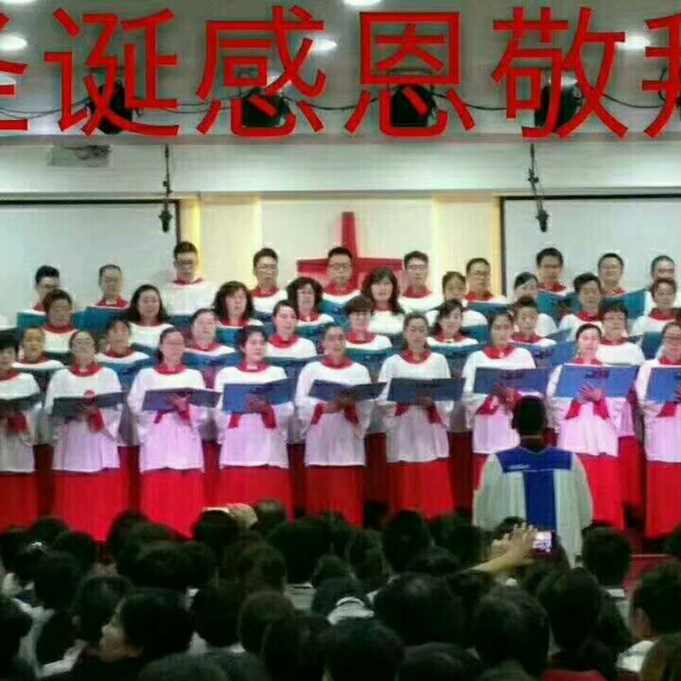 虔诚的莲心