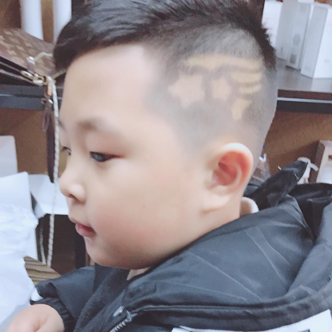 杨洋阳-不私聊不连赞