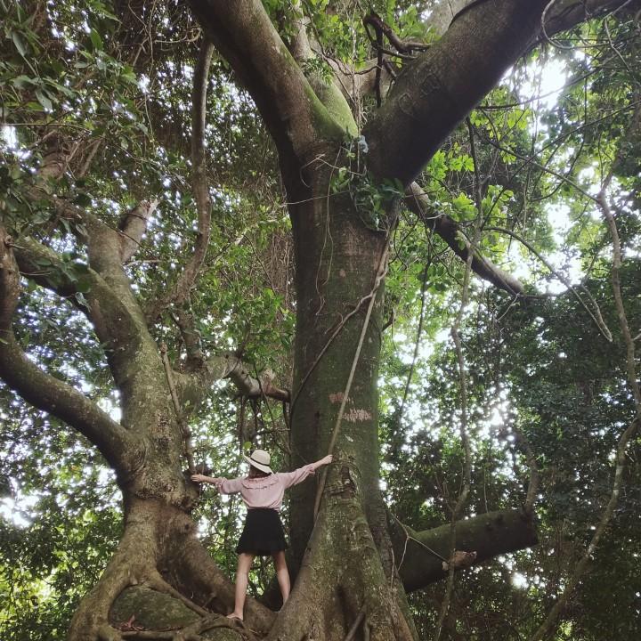 。