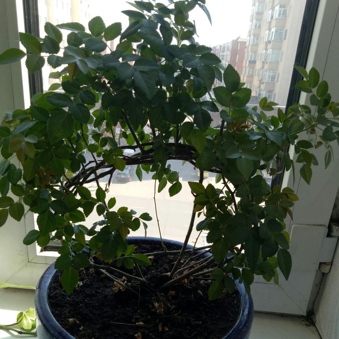 开心每一天57195