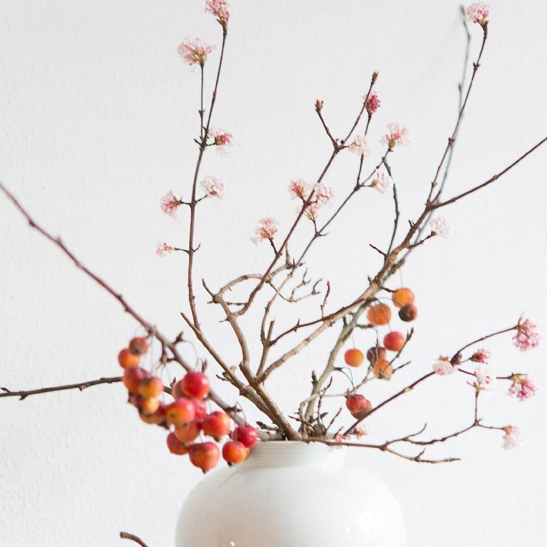 小旋子么么哒！