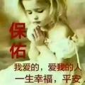 风雨人生2028