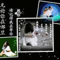 《惜缘》4397