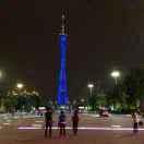 惠州蛇业养殖批发