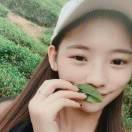吴安吉