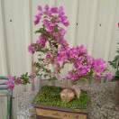 幸福！因为有你。❤️