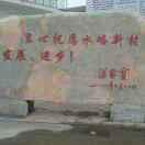 满天星1153945