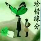 虎 🐯74910