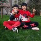 杂粮煎饼烙馍卷菜