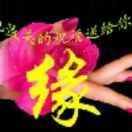 专业搭温棚陳伍
