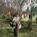 海梅219，志敏饭店