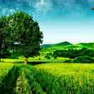 黄志刚专业瓷砖152