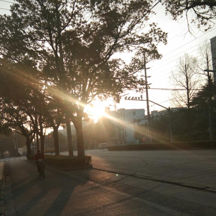 宝儿