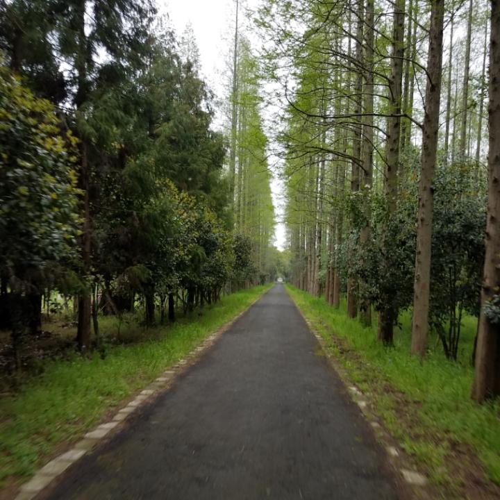 风貂