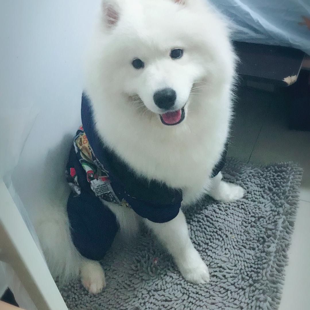 丫头