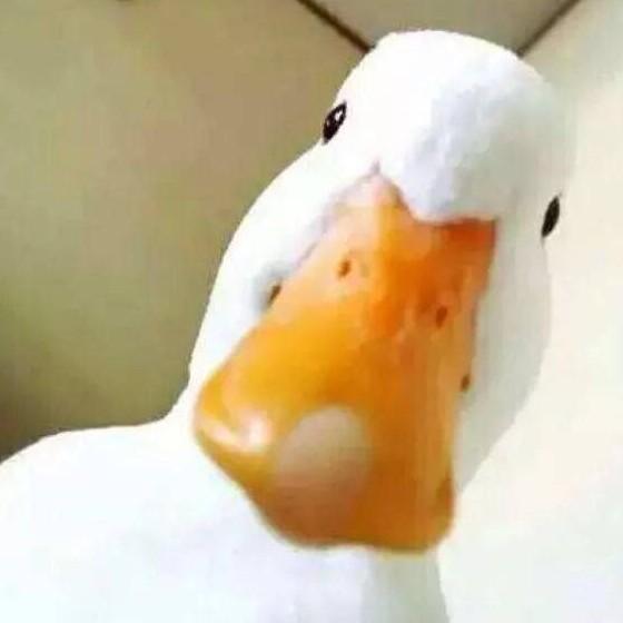 大白吖
