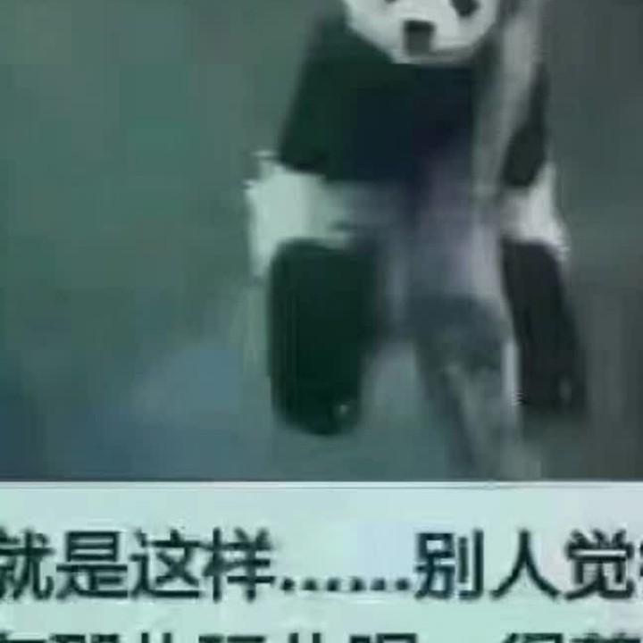 熊猫眼