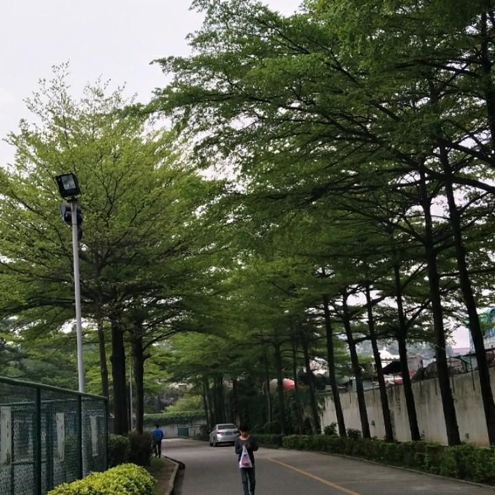 笑口常开