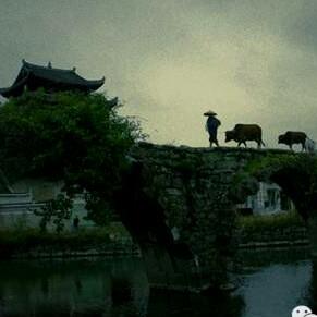 上甘棠（鸡毛哥）