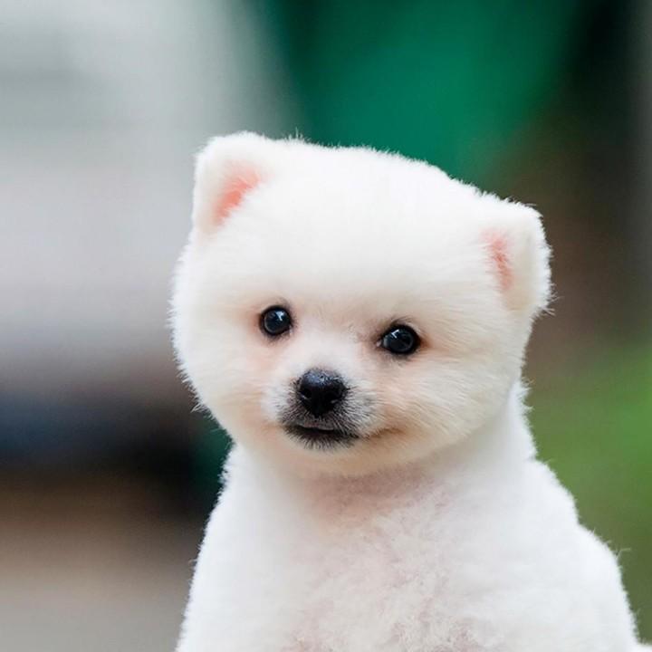 素人