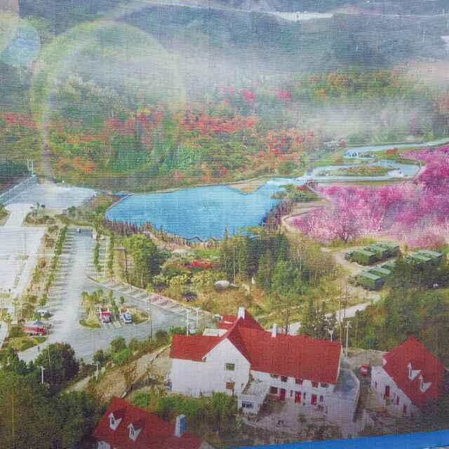 河江洋