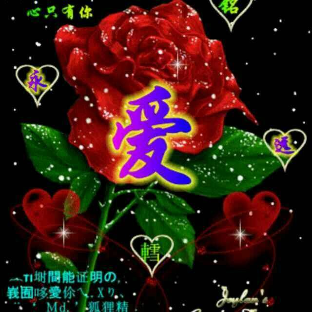 一生平安8590581501797