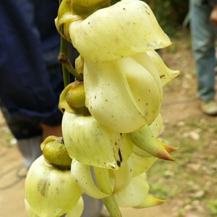 健
