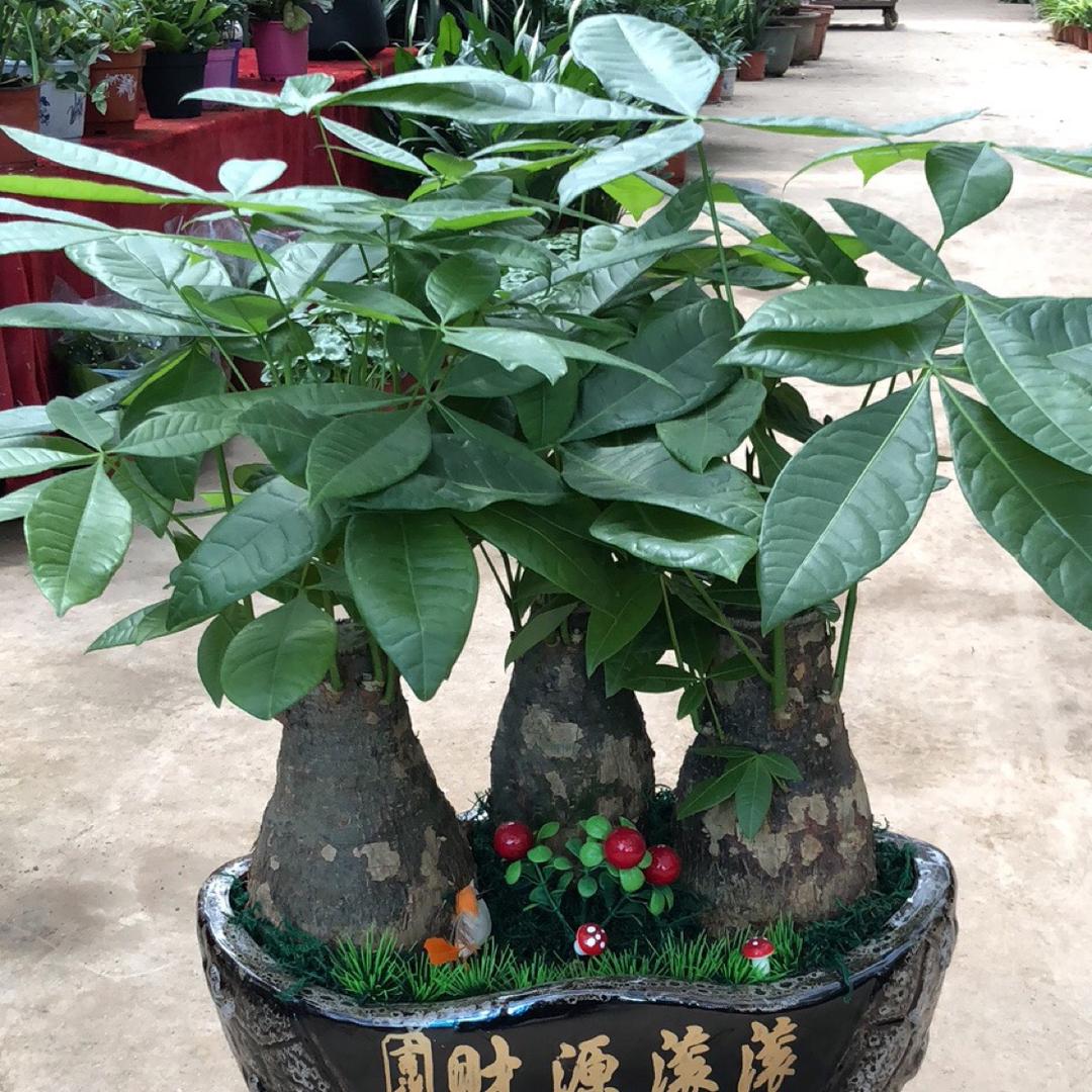 浏淮侨汇创意商品屋