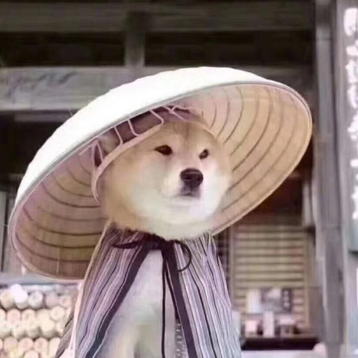 存己