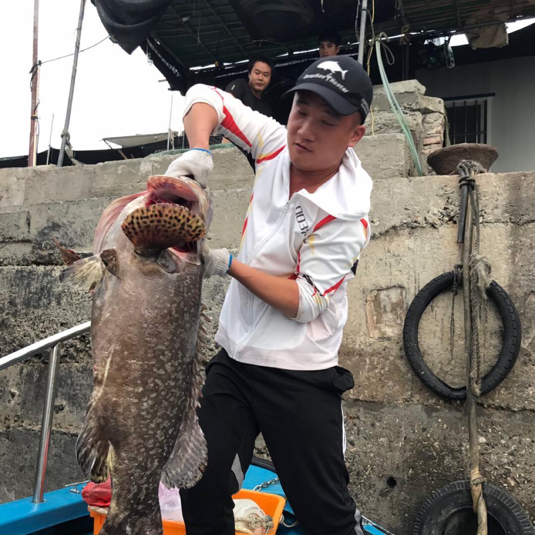 大杨（深海刺身鱼）