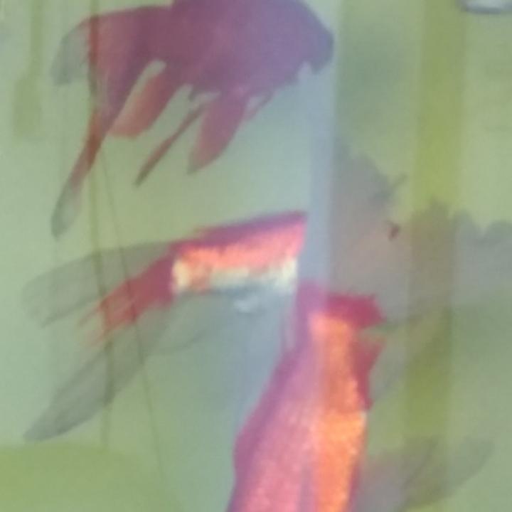 不乖宝宝