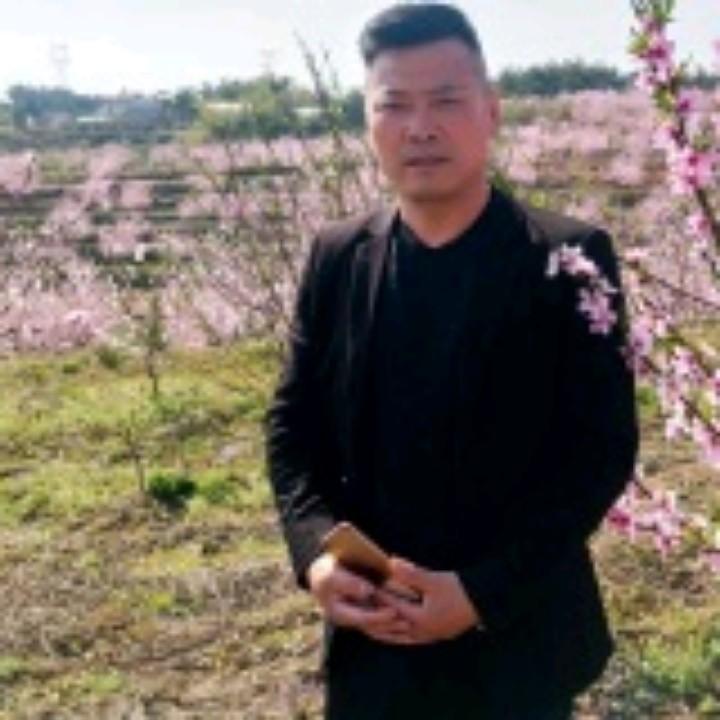 清哥花卉