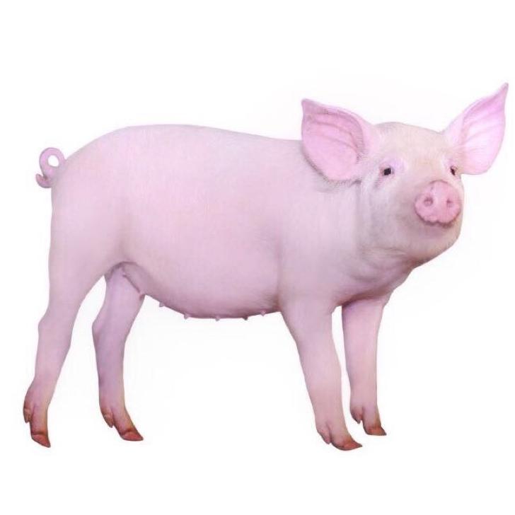 不吃居肉