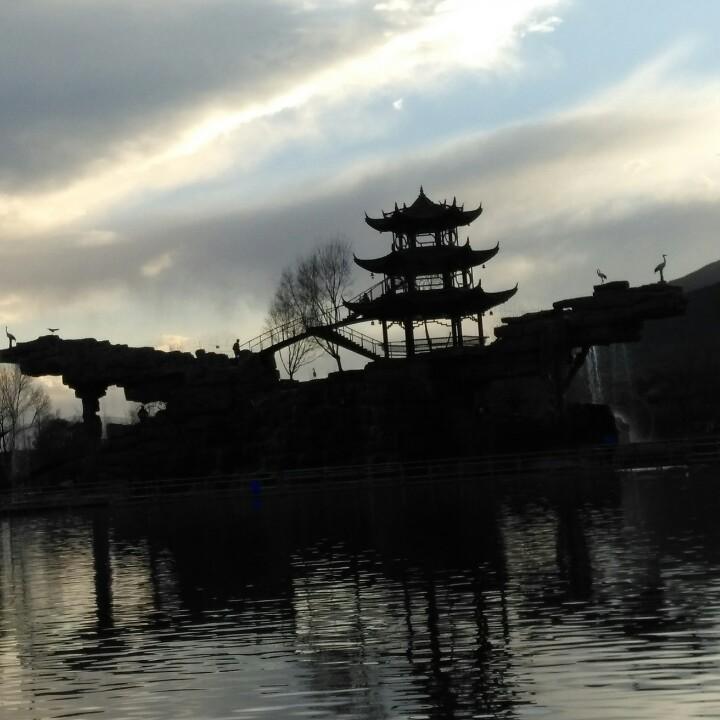 小白
