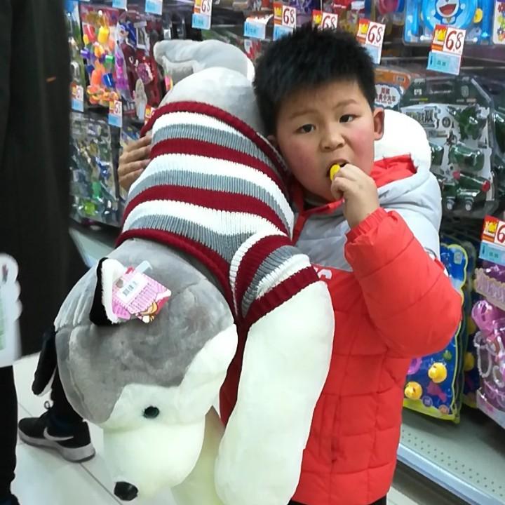 凯凯