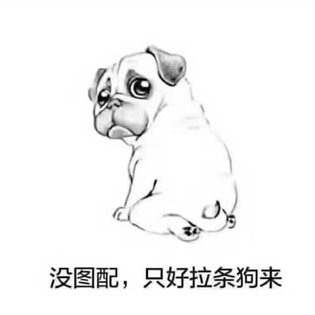 ༺ 刘小亮亮 ༻